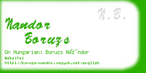 nandor boruzs business card